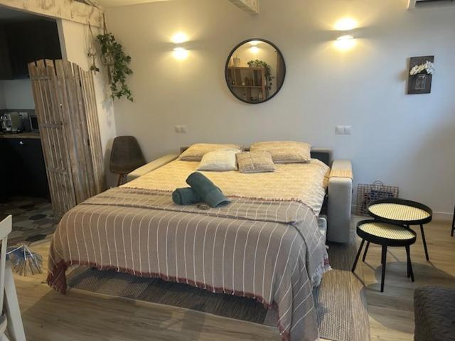 La Brindille Petit Mas Provencal Meuble De Tourisme 3 Etoiles 2-3 Personnes 1 Piece 30 M2 Confort Lisiere Foret Jardin Jacuzzi Piscine Saint-Paul-en-Forêt