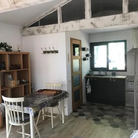 La Brindille Petit Mas Provencal Meuble De Tourisme 3 Etoiles 2-3 Personnes 1 Piece 30 M2 Tout Confort Lisiere Foret Jardin Jacuzzi Piscine Saint-Paul-en-Forêt Exterior foto
