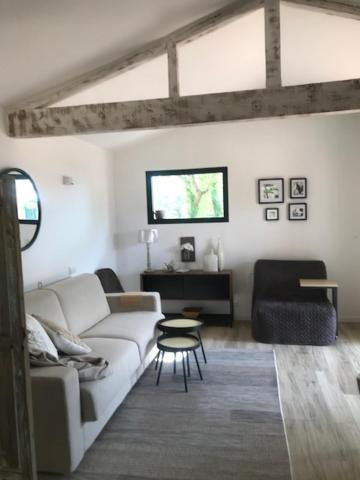 Villa Petit Mas Provençal: Cozy Forest Retreat With Jacuzzi And Pool