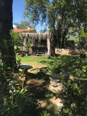 Petit Mas Provençal: Cozy Forest Retreat With Jacuzzi And Pool Saint-Paul-en-Foret